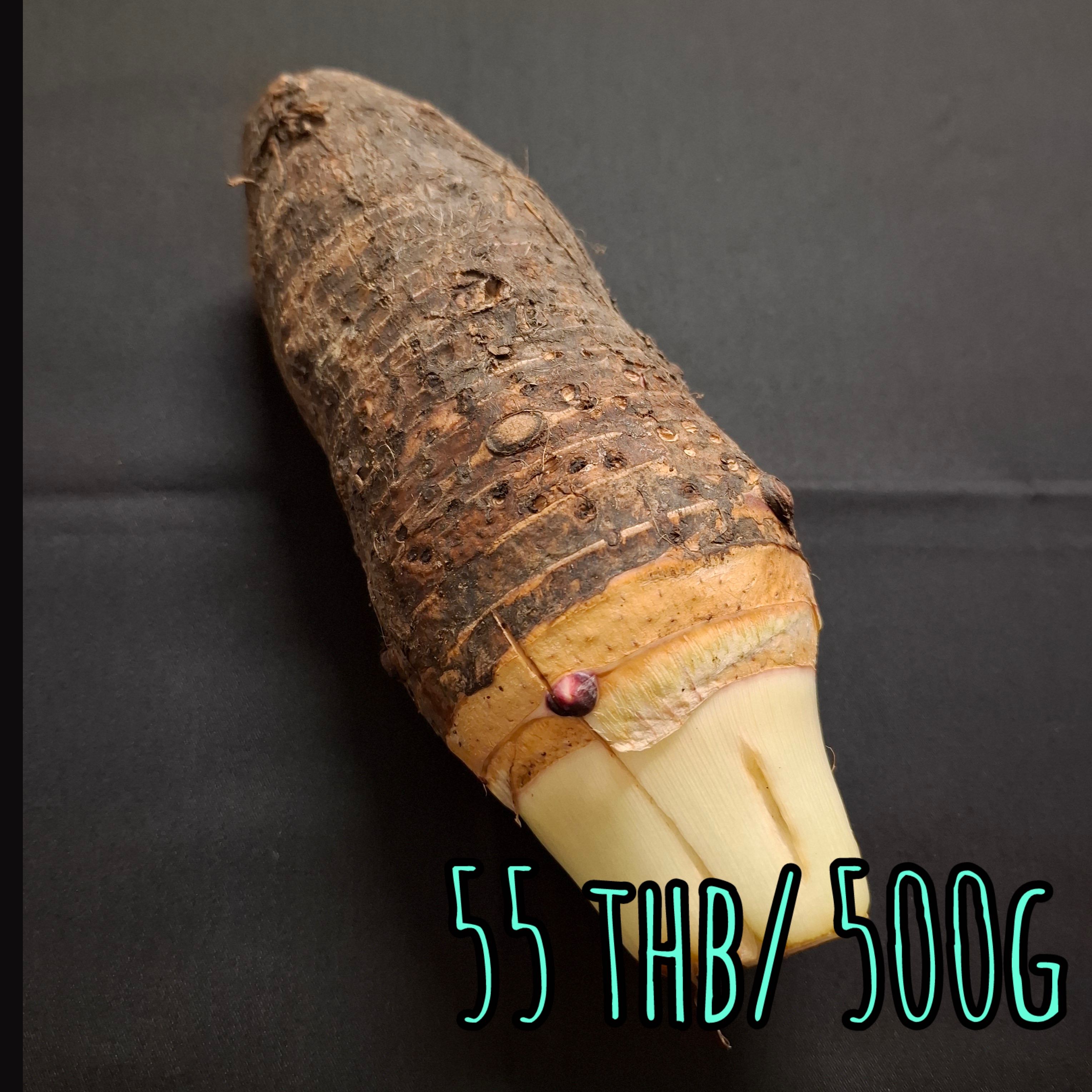 Taro  タロイモ  เผือก