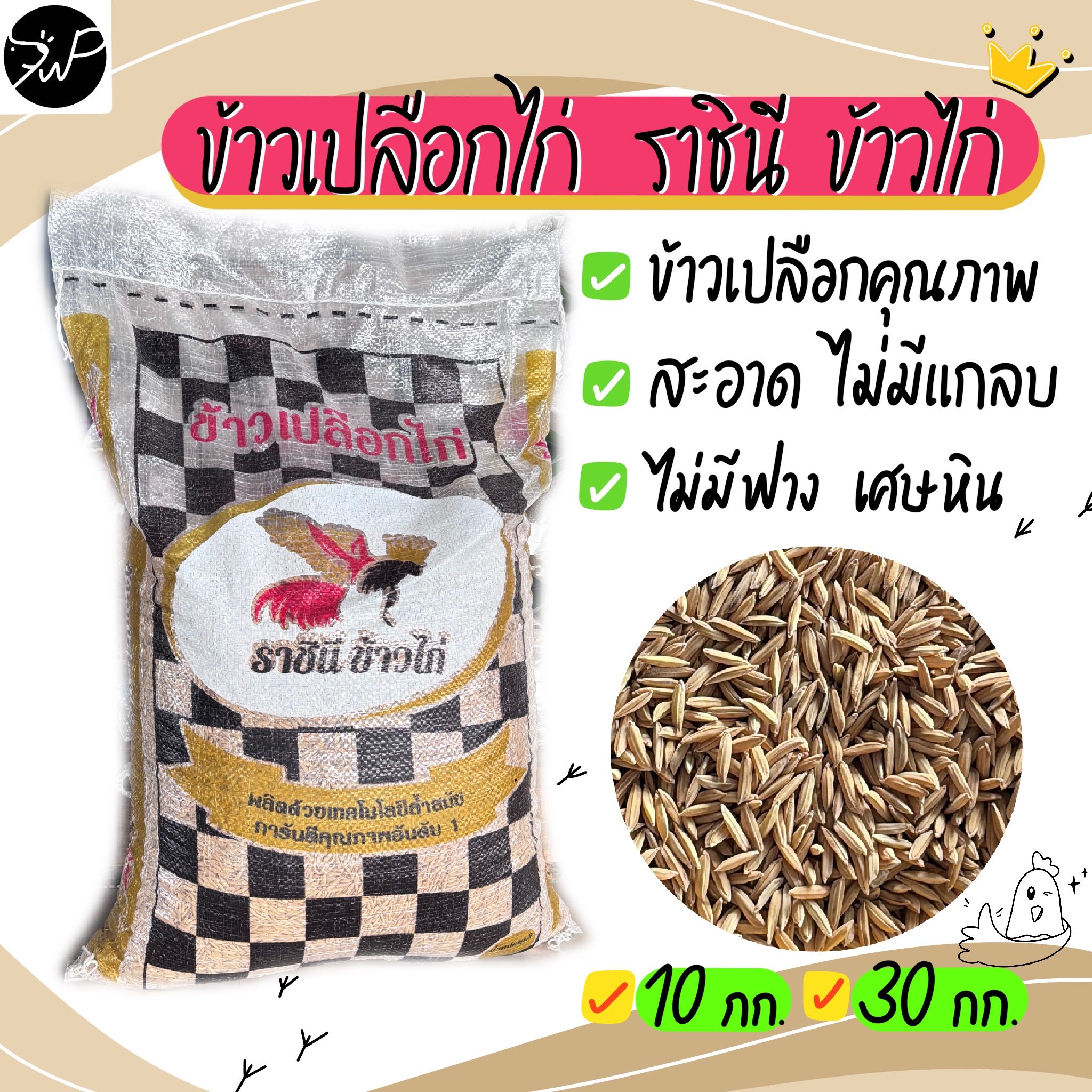 (10กก.) ราชินี ข้าวไก่ ข้าวเปลือกไก่ คุณภาพดี เม็ดสวย เต็มเมล็ด ปราศจากแกลบ เศษหินเศษหญ้า 
