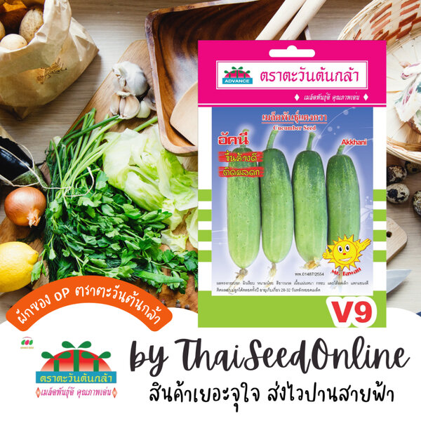 Advance Seeds(ตราตะวันต้นกล้า) ADVOP ซฟ เมล็ดพันธุ์ แตงกวาอัคนี ประมาณ 100 เมล็ด ตราตะวันต้นกล้า V9