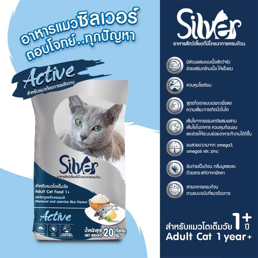 แพ็คย่อย 1 กก | Silver Active  1 กก. x 20 ถุง  (20 KG.) แถมฟรี พัดลมมือถือ