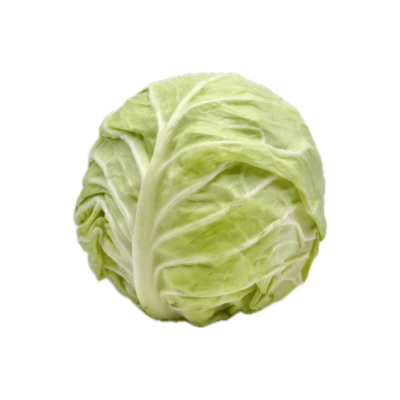 Heart Cabbage (กะหล่ำปลีหัวใจ ไซส์ใหญ่) 150 บาท/กก.