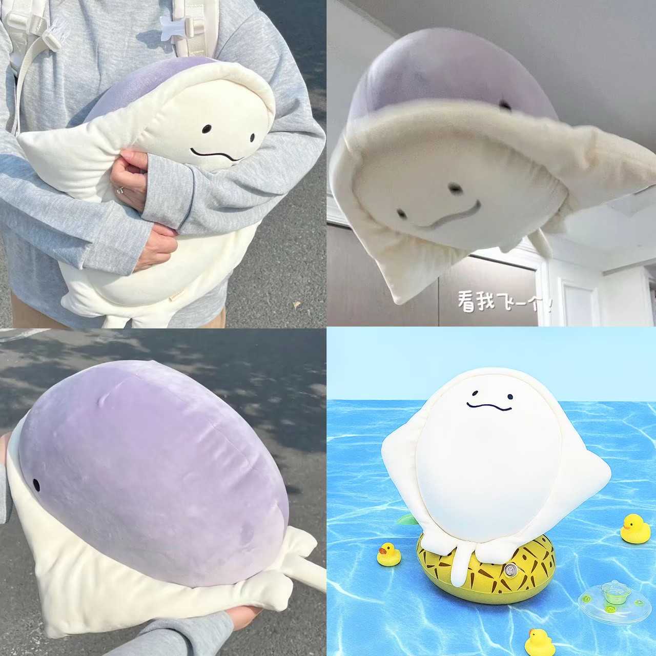 🫐ตุ๊กตาปลากระเบนน่ารัก น้องแอบยิ้มอยู่ด้านล่าง manta ray cute doll plushy