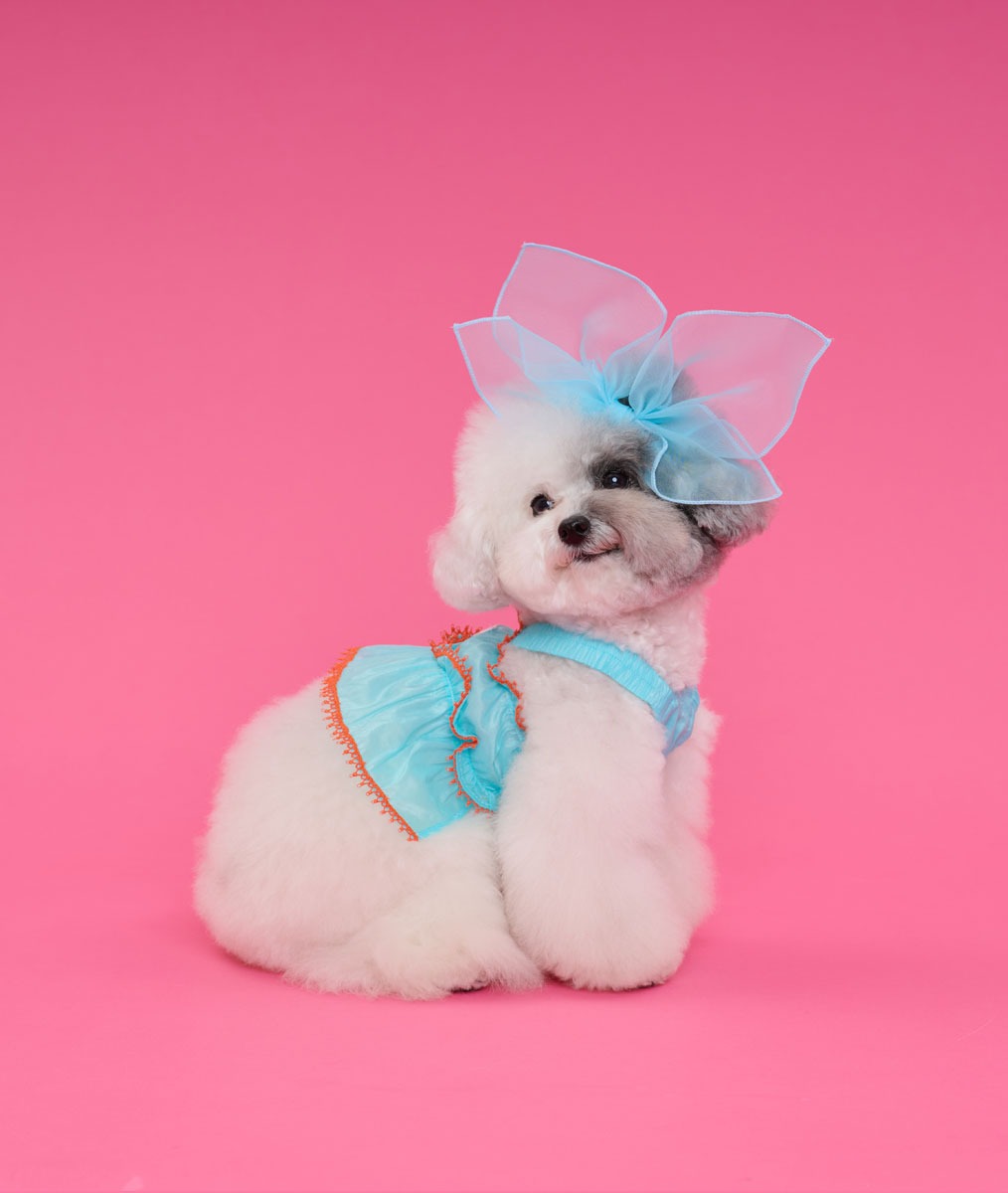 Comocomo-(SM)Tiffany ruru