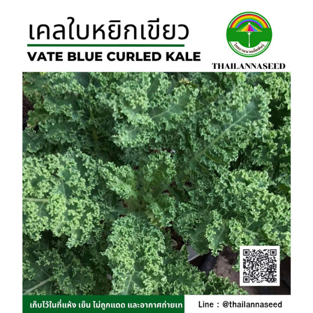 เคลใบหยิกเขียว ( Vat Blue ) ( ขนาด 0.5 กรัม ) รหัสสินค้า 4001