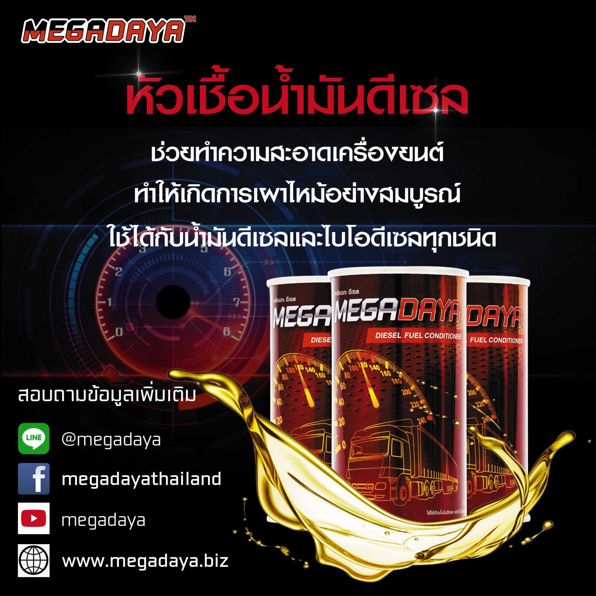 หัวเชื้อน้ำมันดีเซล MEGADAYA Diesel Fuel Conditioner 170 cc แพ็คละ 8 กระป๋อง