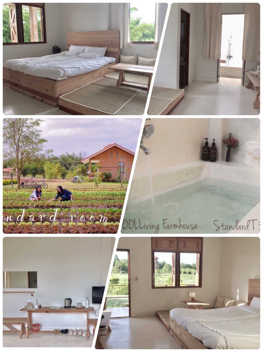 Farmhouse Room 30sqm, outdoor bath, ห้องแถวติดกัน COOLLiving Farm Wangnamkhiao