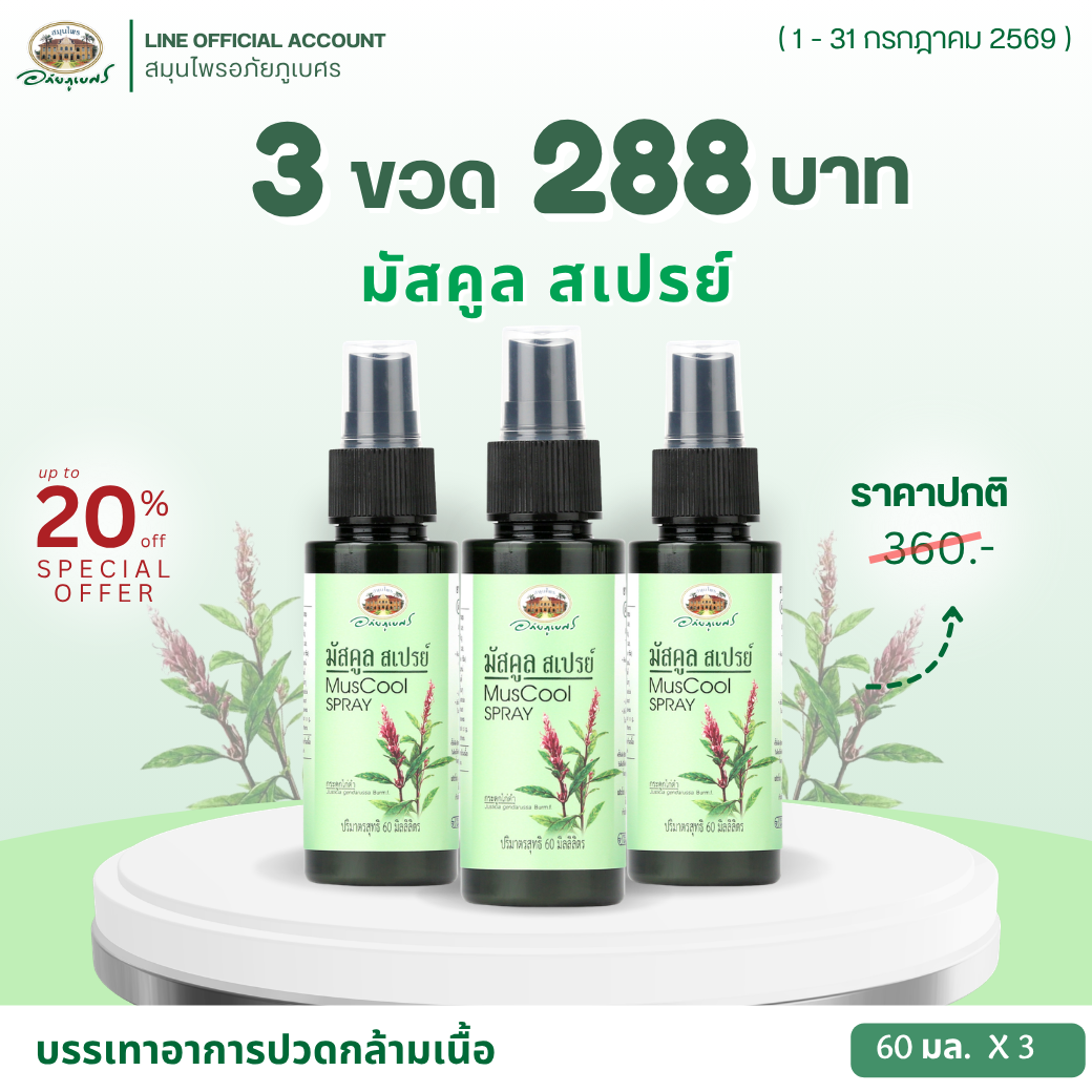 มัสคูลสเปรย์ 60 มิลลิลิตร/ขวด 3 ขวด ลด 20% (ขวด)