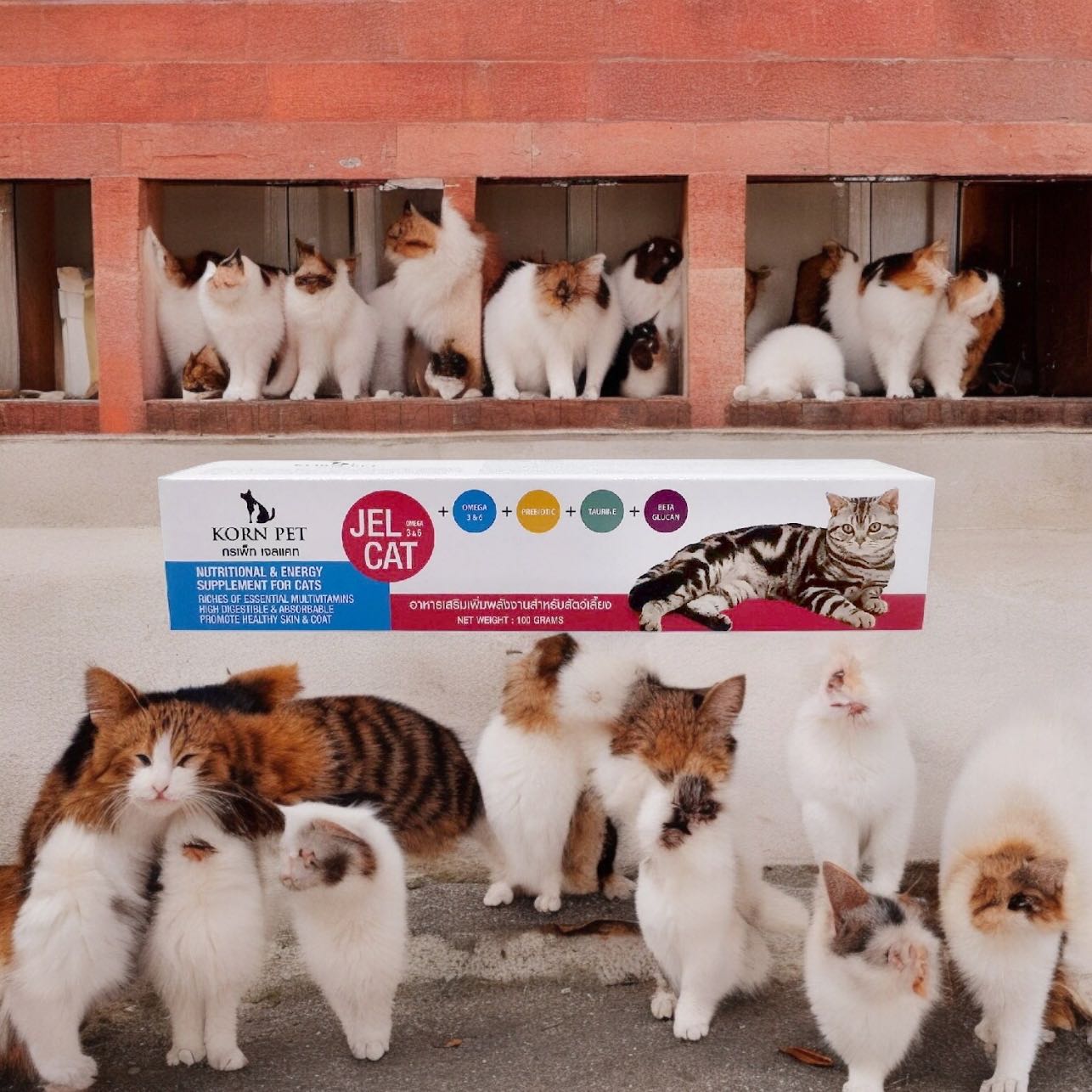 อาหารเสริมแมว เจลอาหารเสริมเพิ่มพลังงาน korn pet jel cat ขนาด 30 และ 100 กรัม