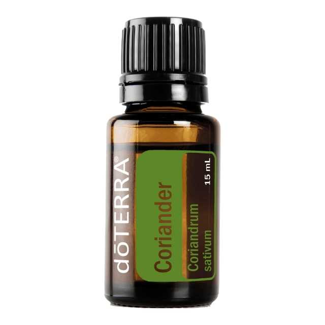 Coriander - คอเรียนเดอร์ - 31 PV