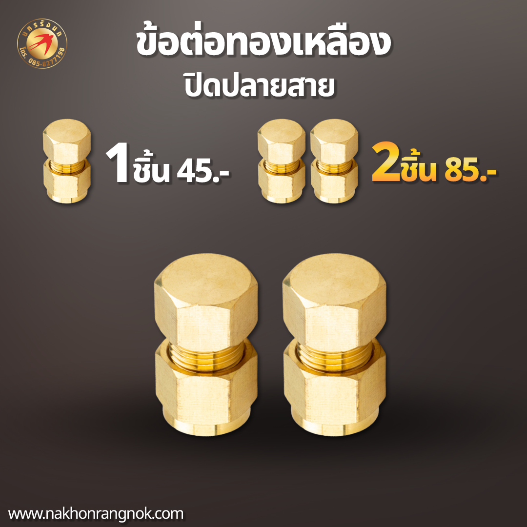 ปิดปลายสาย ทองเหลืองแท้  (สั่งซื้อ 2ชิ้น/85)