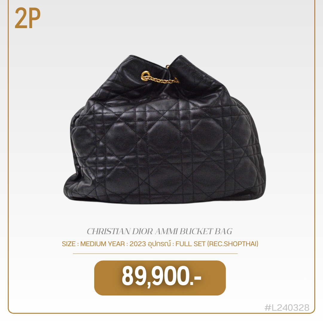 CHRISTIAN DIOR AMMI BUCKET BAG (L240328)