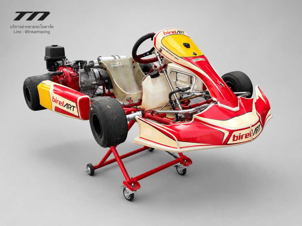 Birel Kart + Honda GX270