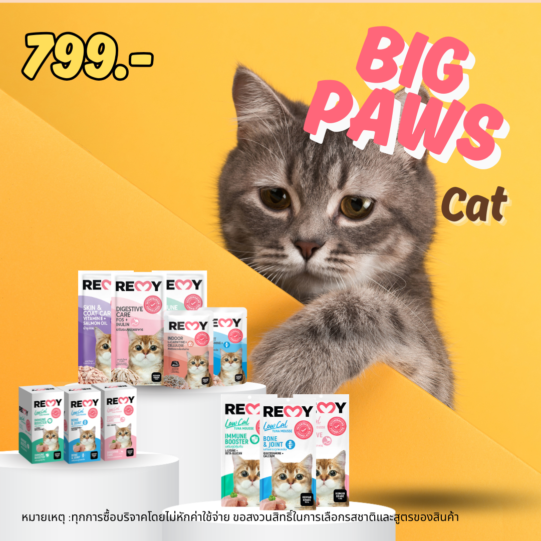 BIG PAWS (Cat food + Cat treats)