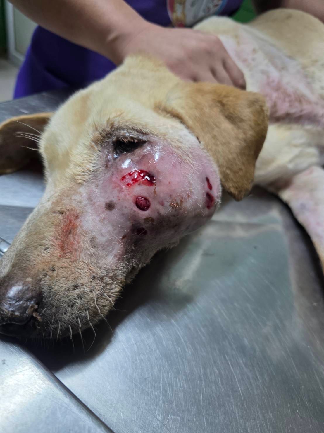 บริจาค เคสที่ 2344 น้องนวลเขาหมอน มะเร็งอวัยวะเพศ หน้าเป็นก้อนมะเร็ง