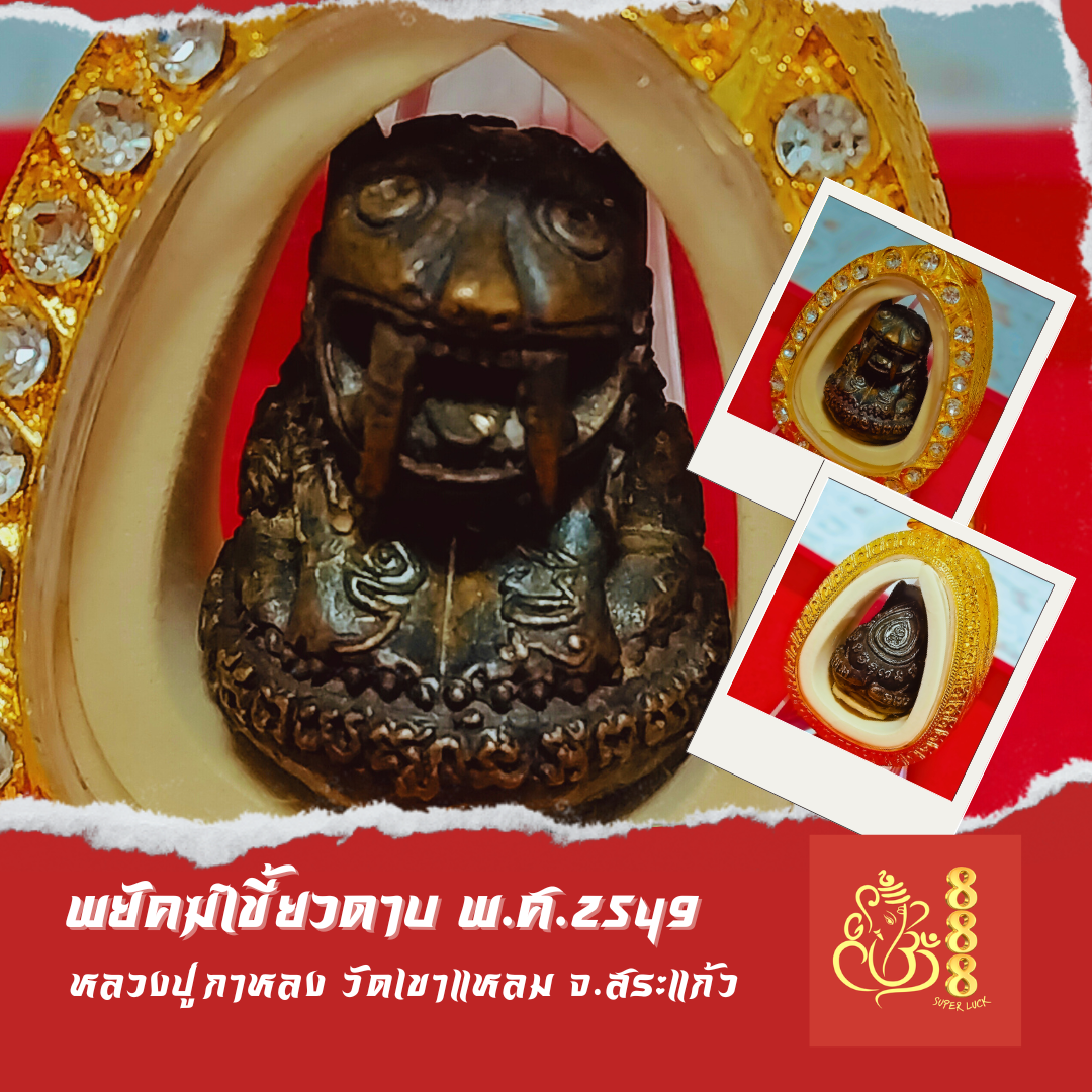 พยัคฆ์เขี้ยวดาบเนื้อแร่ หลวงปู่กาหลง
