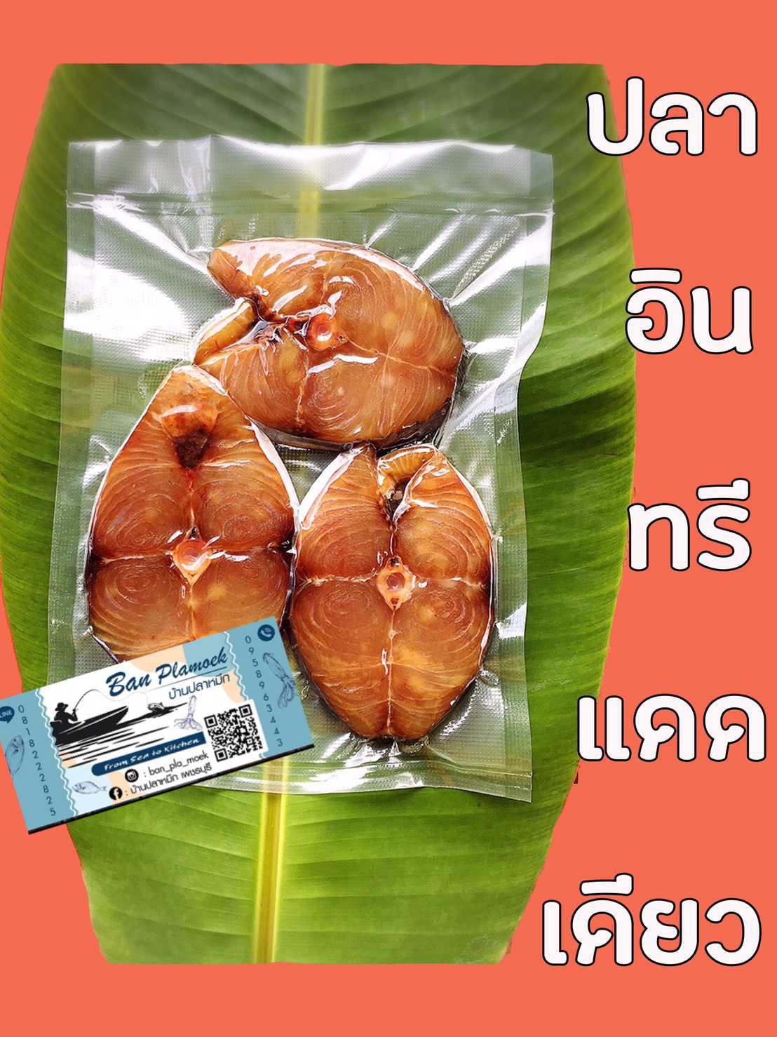 ปลาอินทรีแดดเดียว