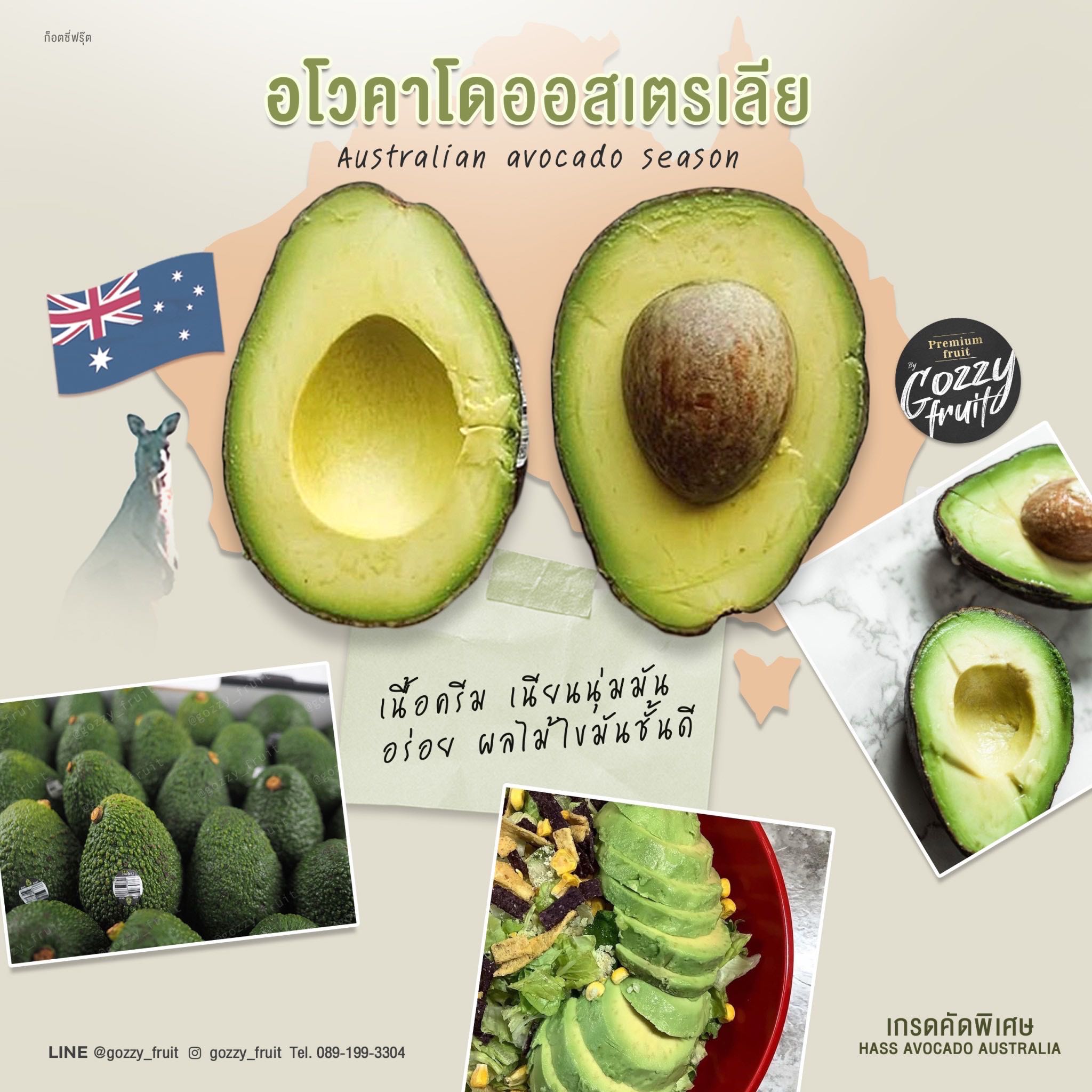 อโวคาโด HASS ออสเตรเลีย 