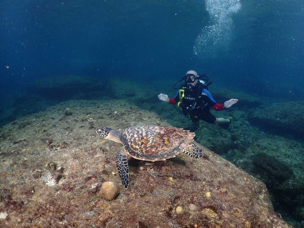 Phi Phi. Discover Scuba Diving