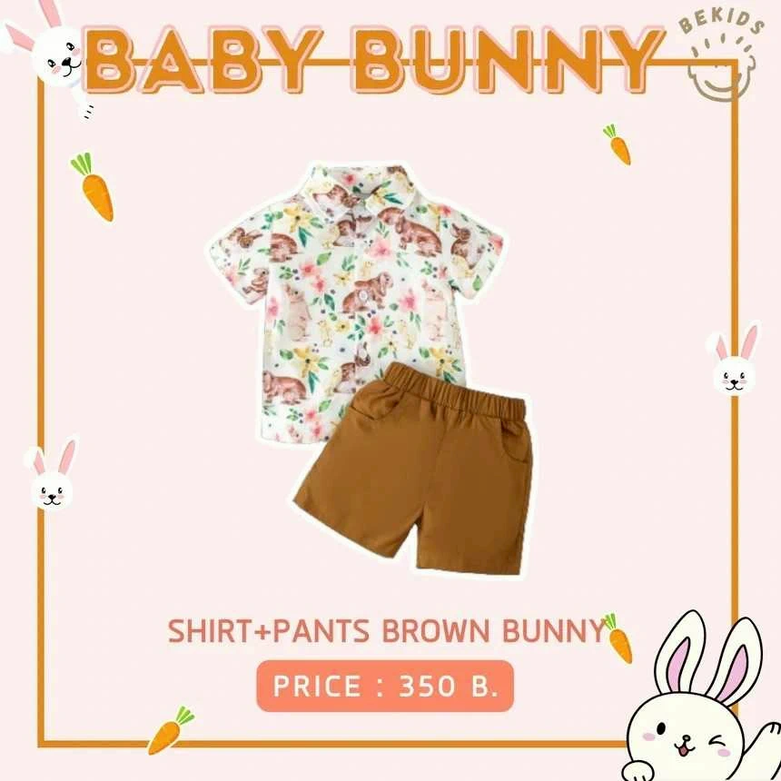 Shirt+Pants Brown Bunny
