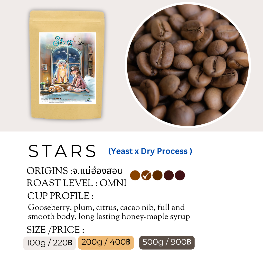STARS (Yeast x Dry Process)