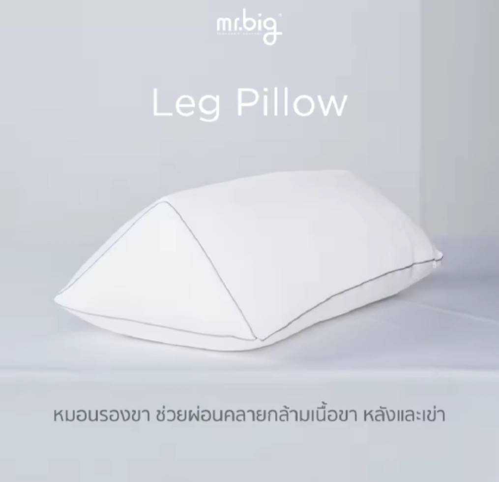mr.big LEG PILLOW : หมอนรองขา