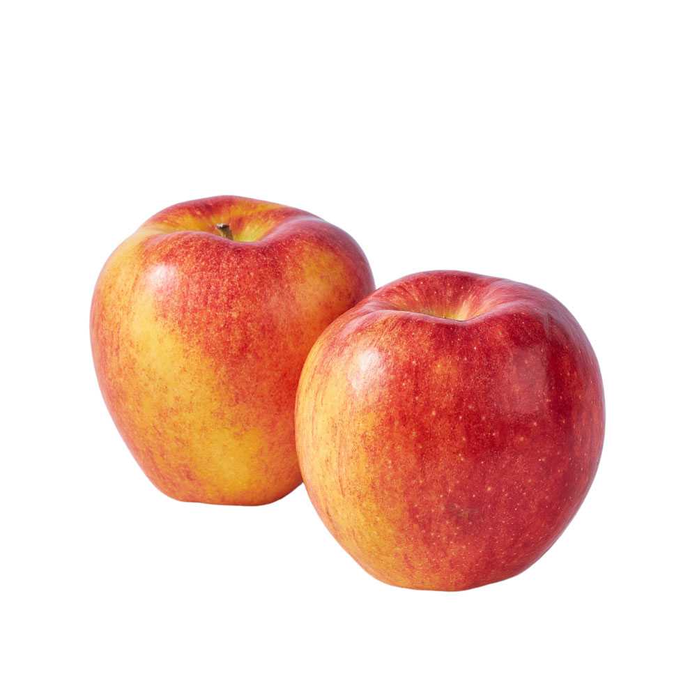 FG10052 แอปเปิ้ลเอ็นวี่ Apple Envy ( 2pc )