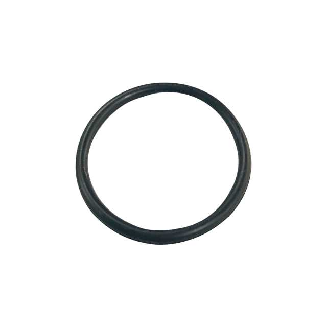 SEAL RING (แหวนซีล) / TAZAWA MONSTER X
