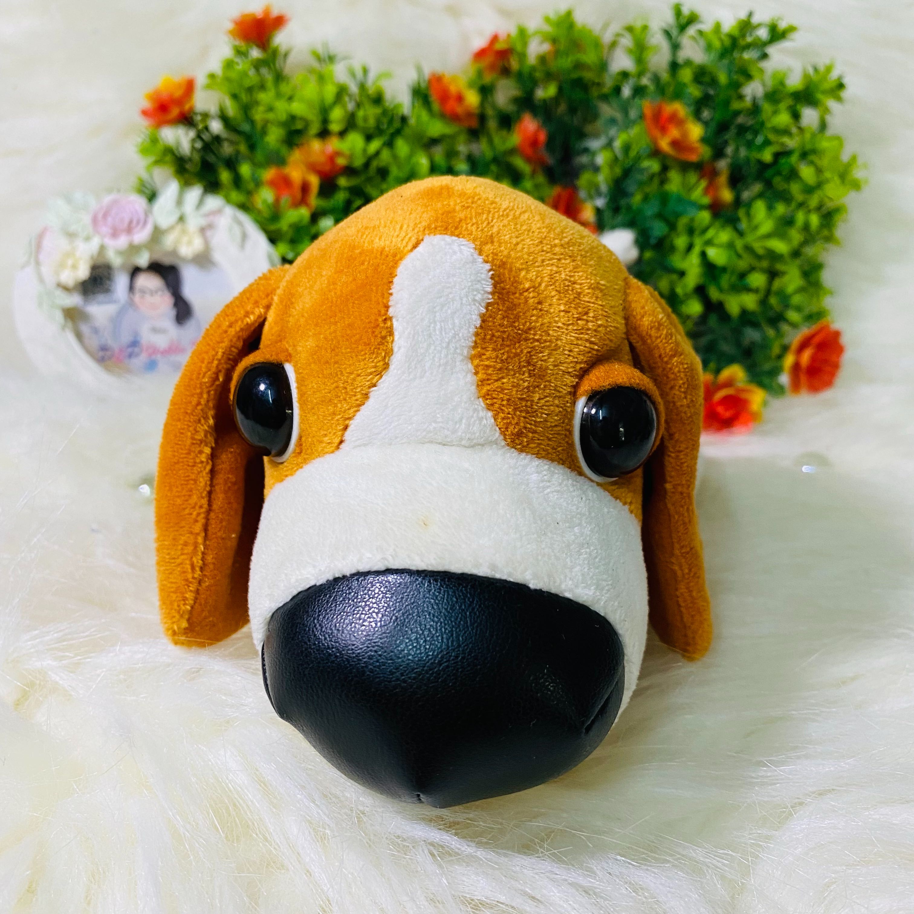 The Dog