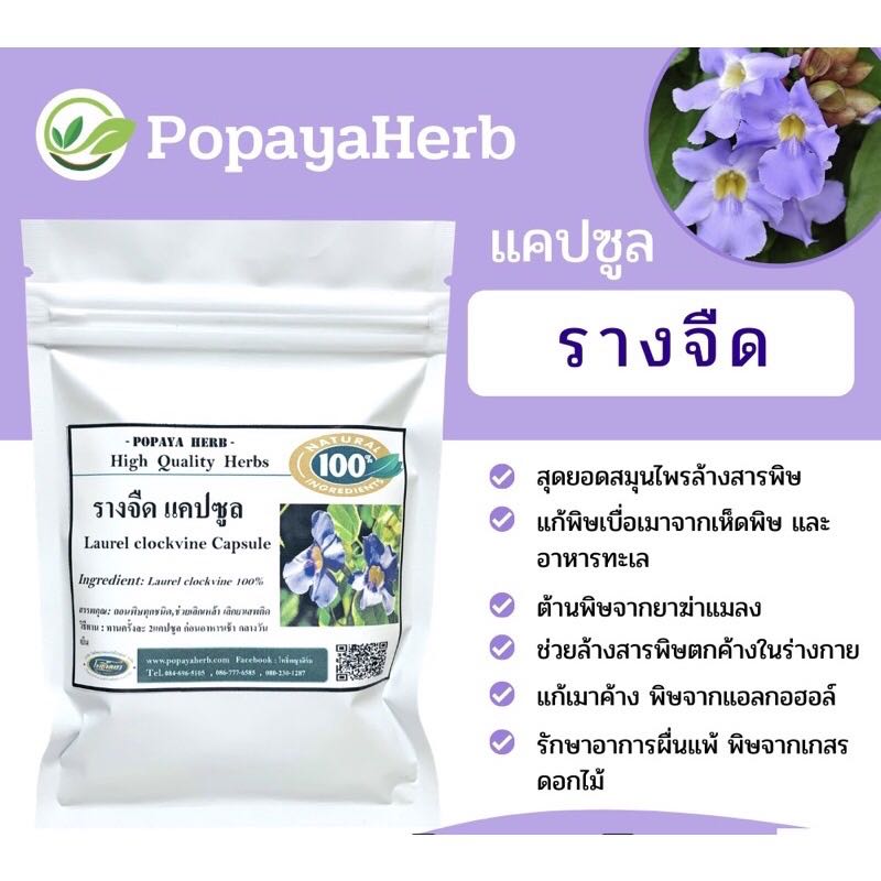 แคปซูล สมุนไพรรางจืดThunbergia laurifolia100%