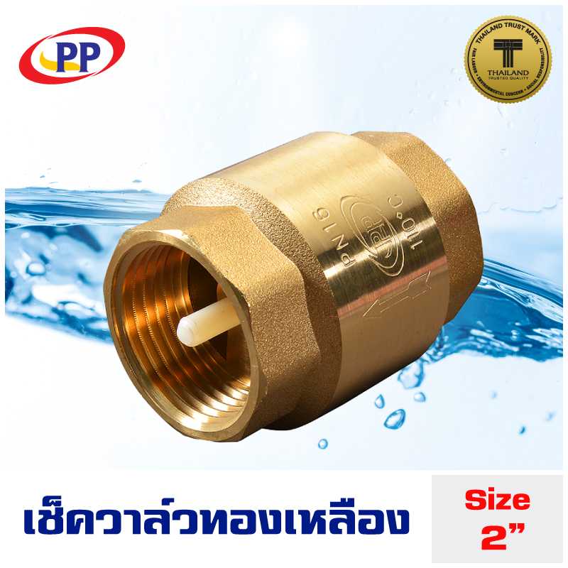 เช็ควาล์ว สปริงทองเหลือง PP(พีพี)  ขนาด 2นิ้ว (สองนิ้ว)