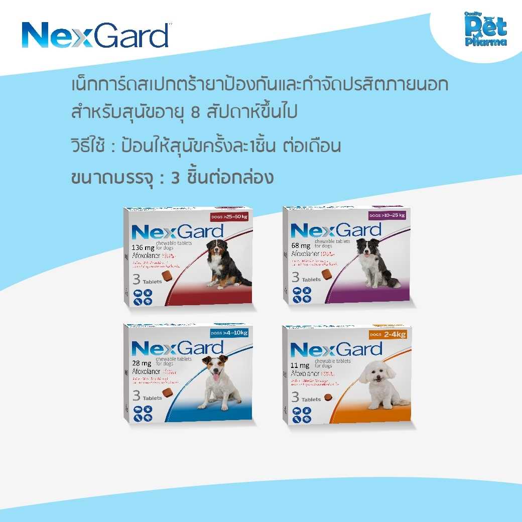 Nexgard ยากิน กำจัดเห็บ หมัด ไร สำหรับสุนัข