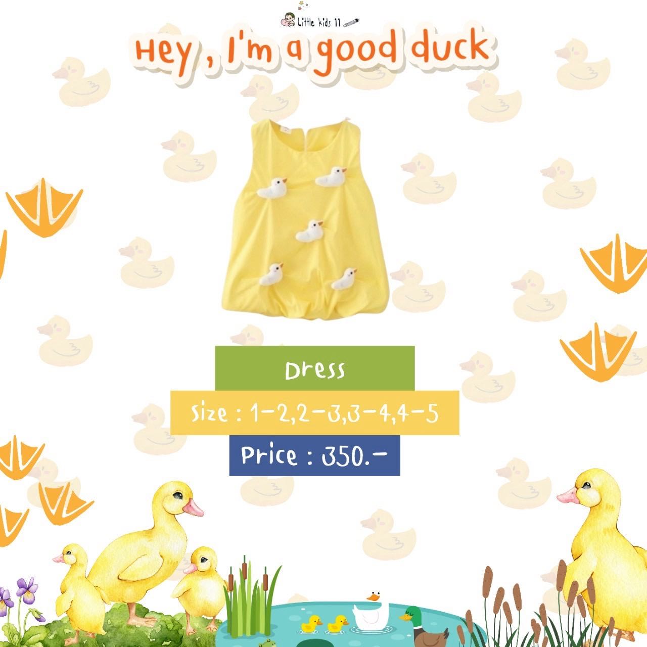 Hey, I’m a good duck No.11
