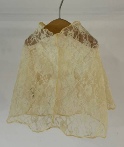 Avely (SM) Lemon Lace Blouse