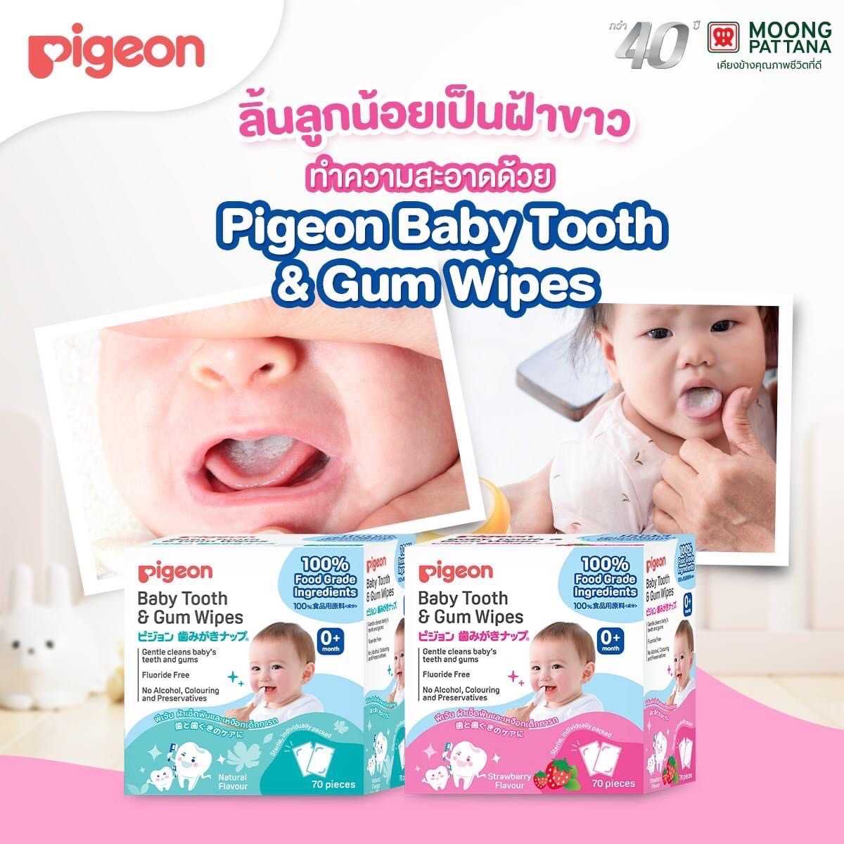 Best Seller PIGEON ผ้าเช็ดทำความสะอาดเหงือกและฟัน