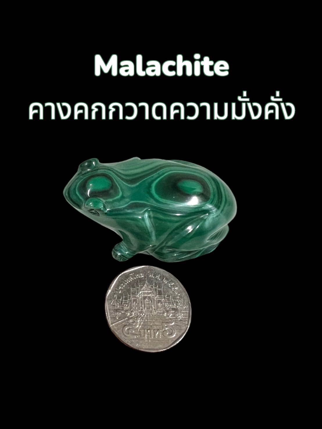 เสี่ยมสู malachite (คางคกกวาดความมั่งคั่ง)