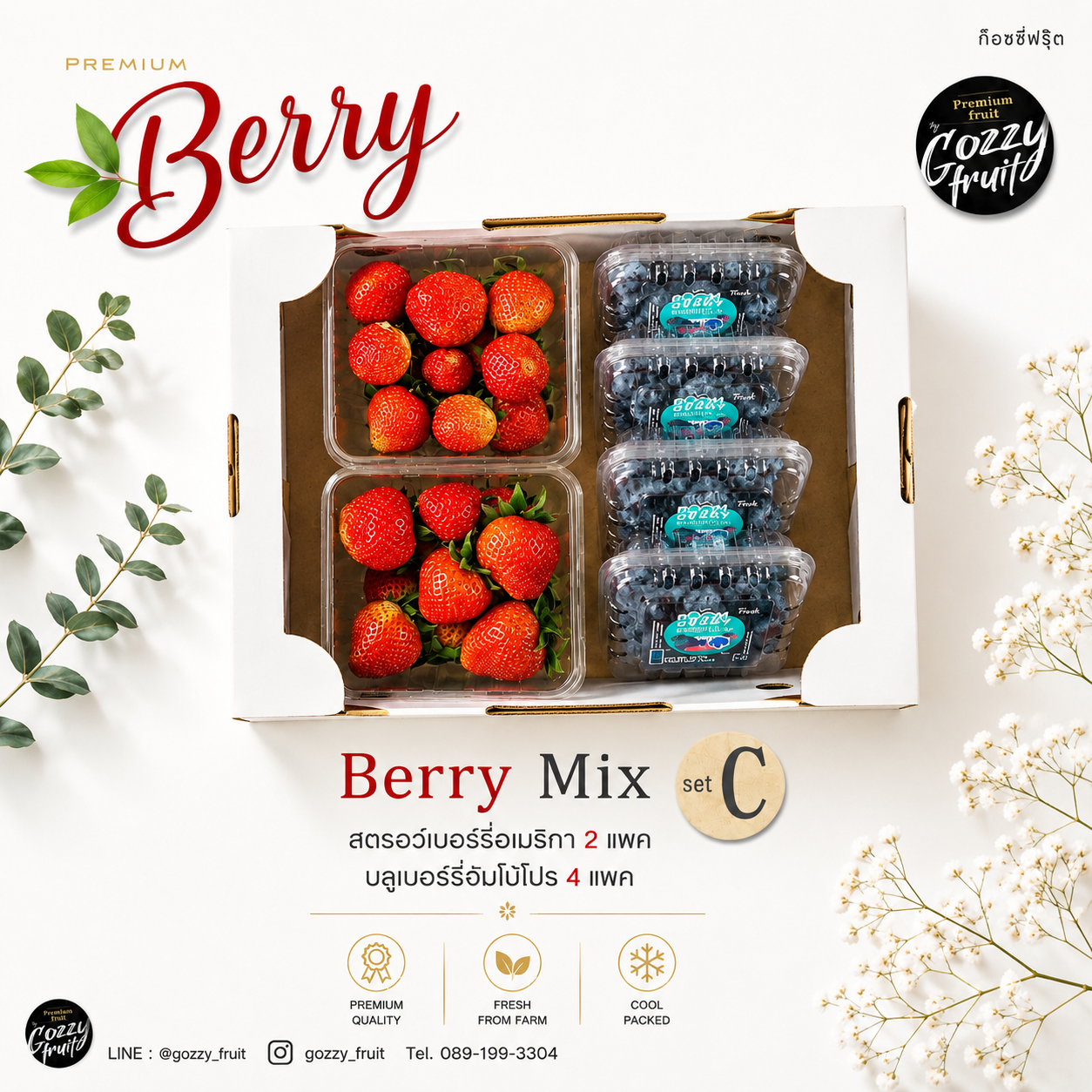 Berry Mix  set C ยอดนิยม