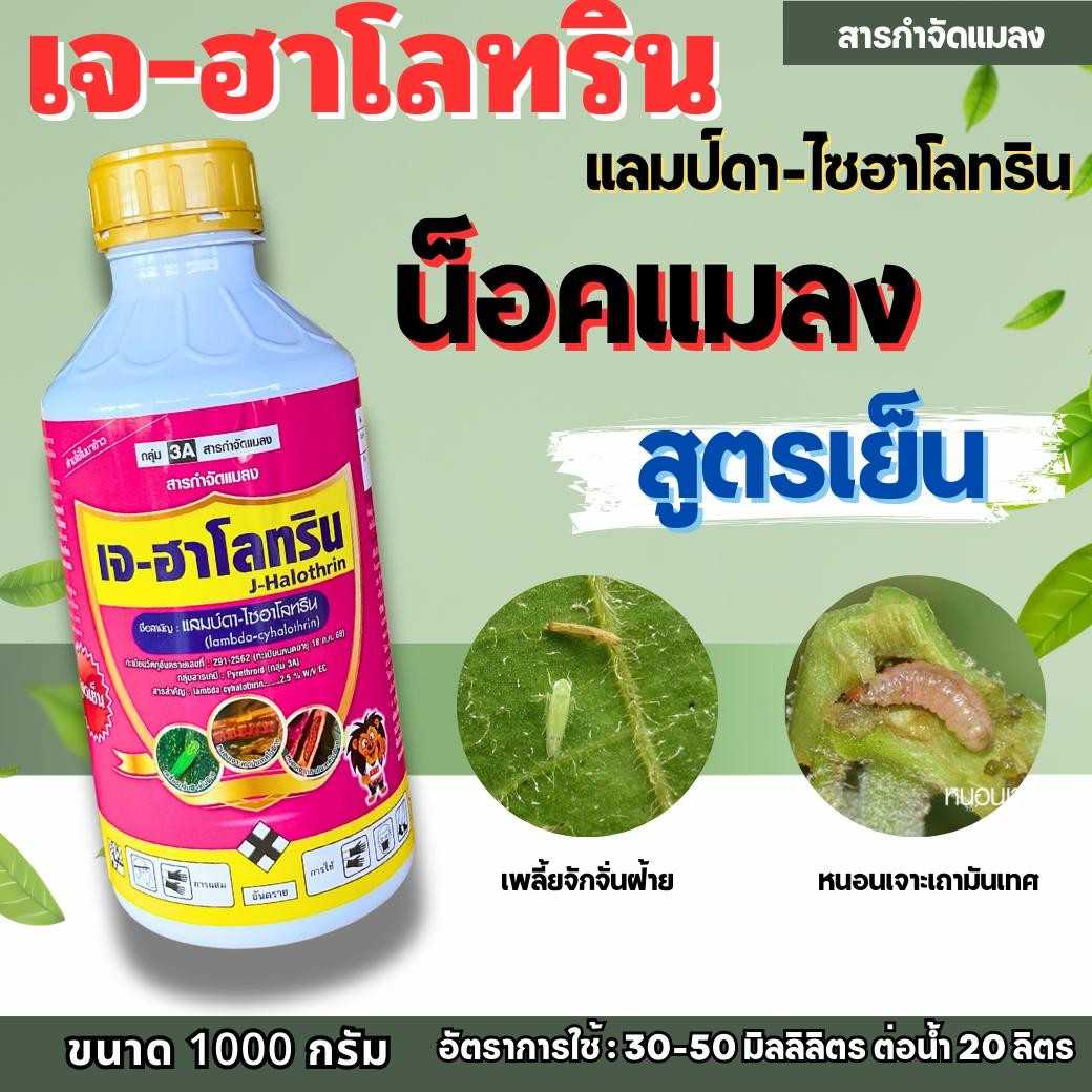 เจ-ฮาโลทริน 1000cc. ฉลากชมพู แลมป์ด้าไซฮาโลทริน ยาน็อค ยาเย็น เพลี้ยไฟ เพลี้ยแป้ง เพลี้ยไก่แจ้