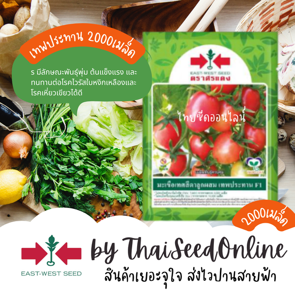 EWCOM มะเขือเทศสีดาลูกผสม เทพประทาน 2,000เมล็ด ตราศรแดง Tomato