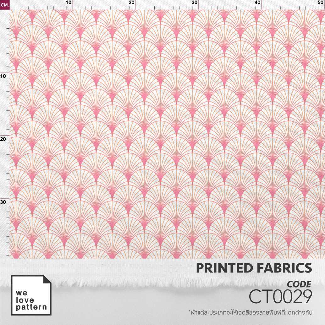 รหัสลาย : CT0029