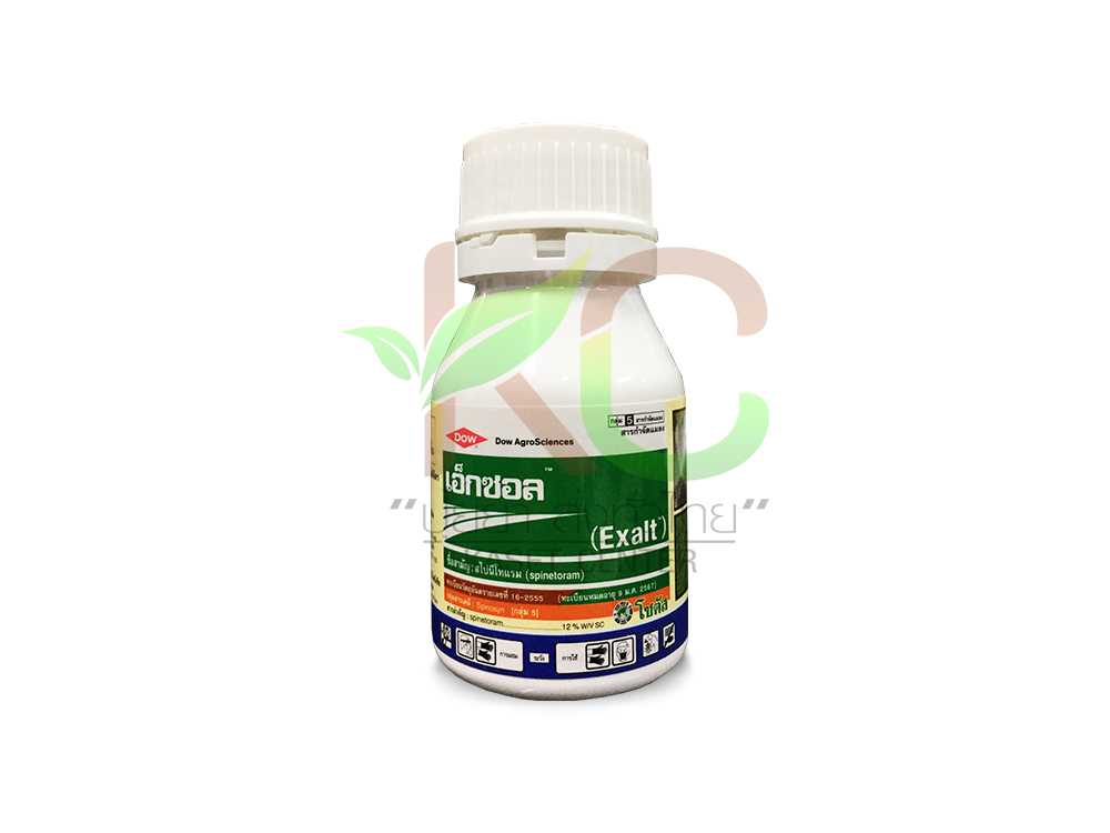 เอ็กซอล (Exalt)  250ซีซี