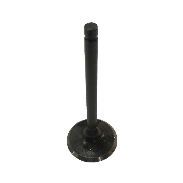 VALVE, INTAKE / SP-07110206 / SP-07110207