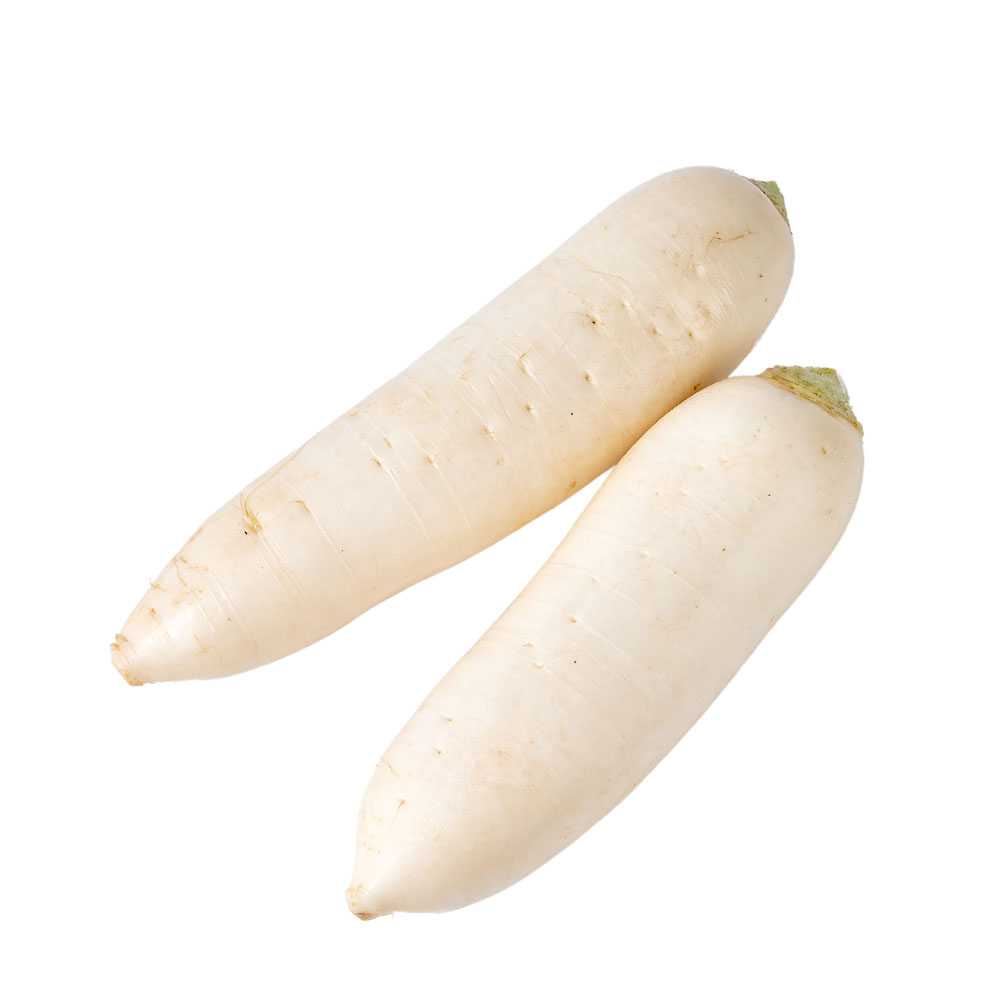 FG06002 หัวไชเท้า Oriental Radish ( 800g )