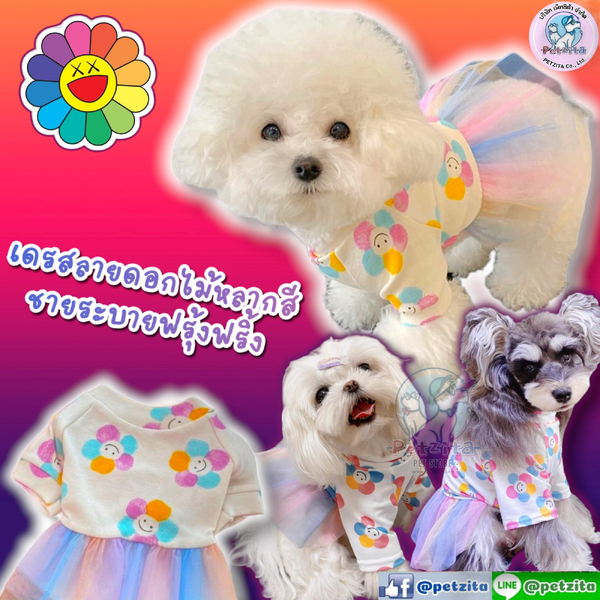 🇹🇭พร้อมส่ง🇹🇭 เดรสลายดอกไม้หลากสี แต่งระบายซีฟองฟรุ้งฟริ้งสีรุ้ง for pet เสื้อสุนัข ชุดหมา ชุดแมว