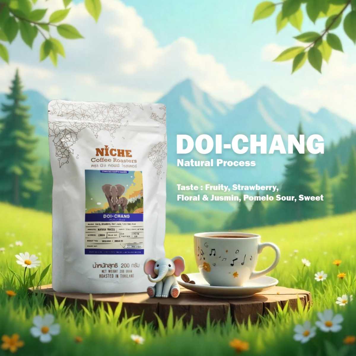 กาแฟไทย ดอยช้าง Thai Doi Chang