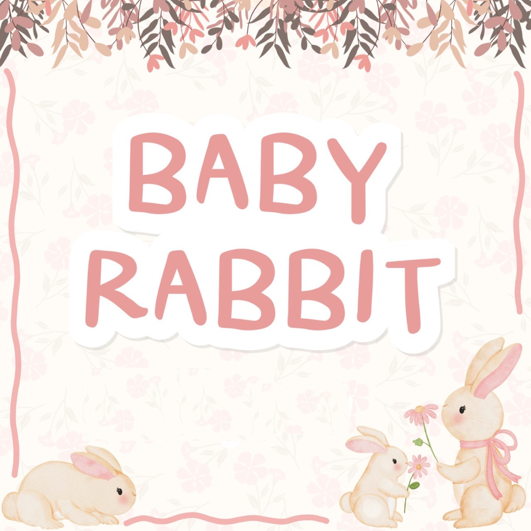 Baby Rabbit 💓🐰