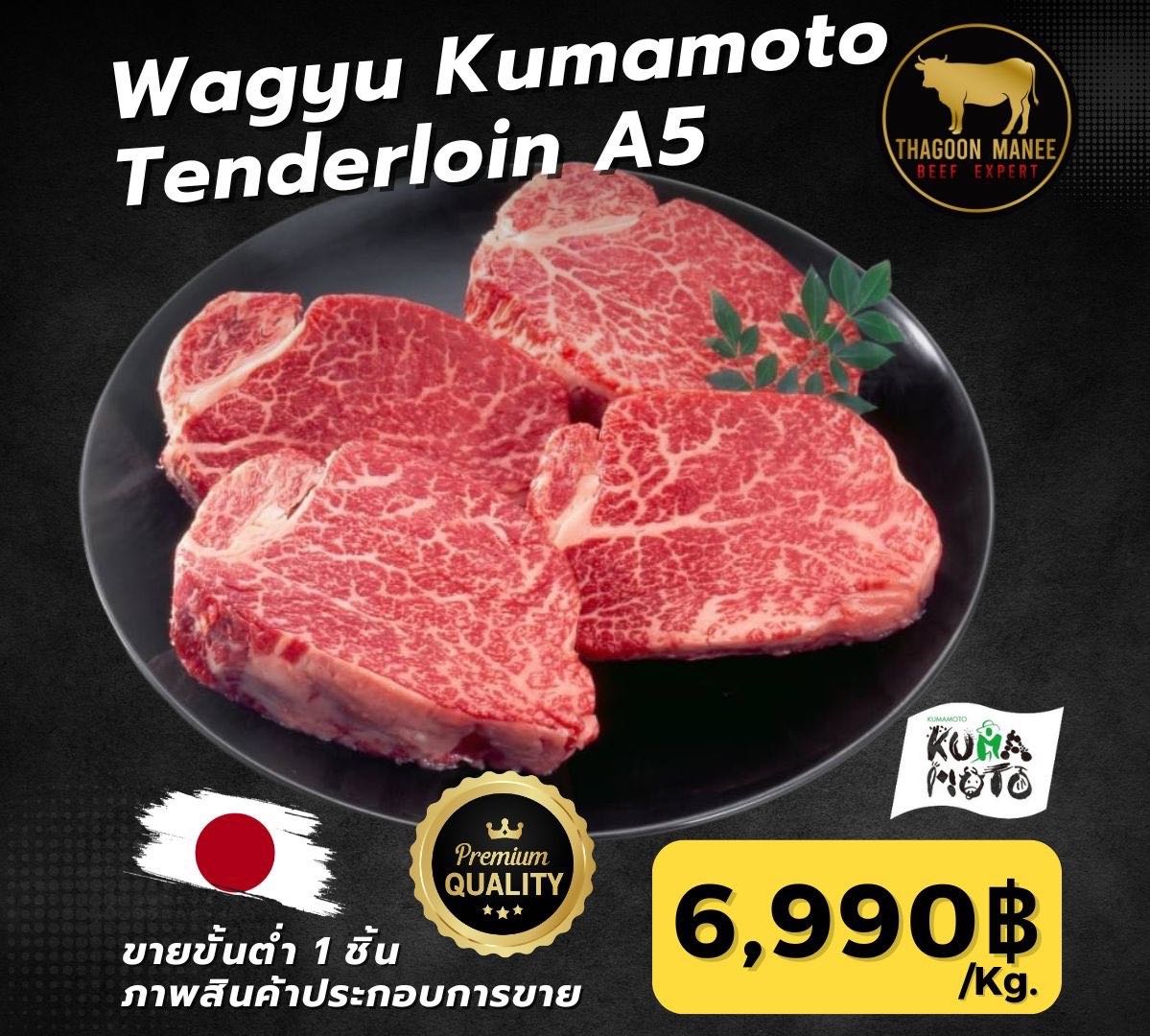 Wagyu Kumamoto Tenderloin A5