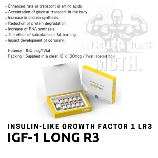 IGF-1 Long R3 (igf1) BPMedical (100mcg×10)