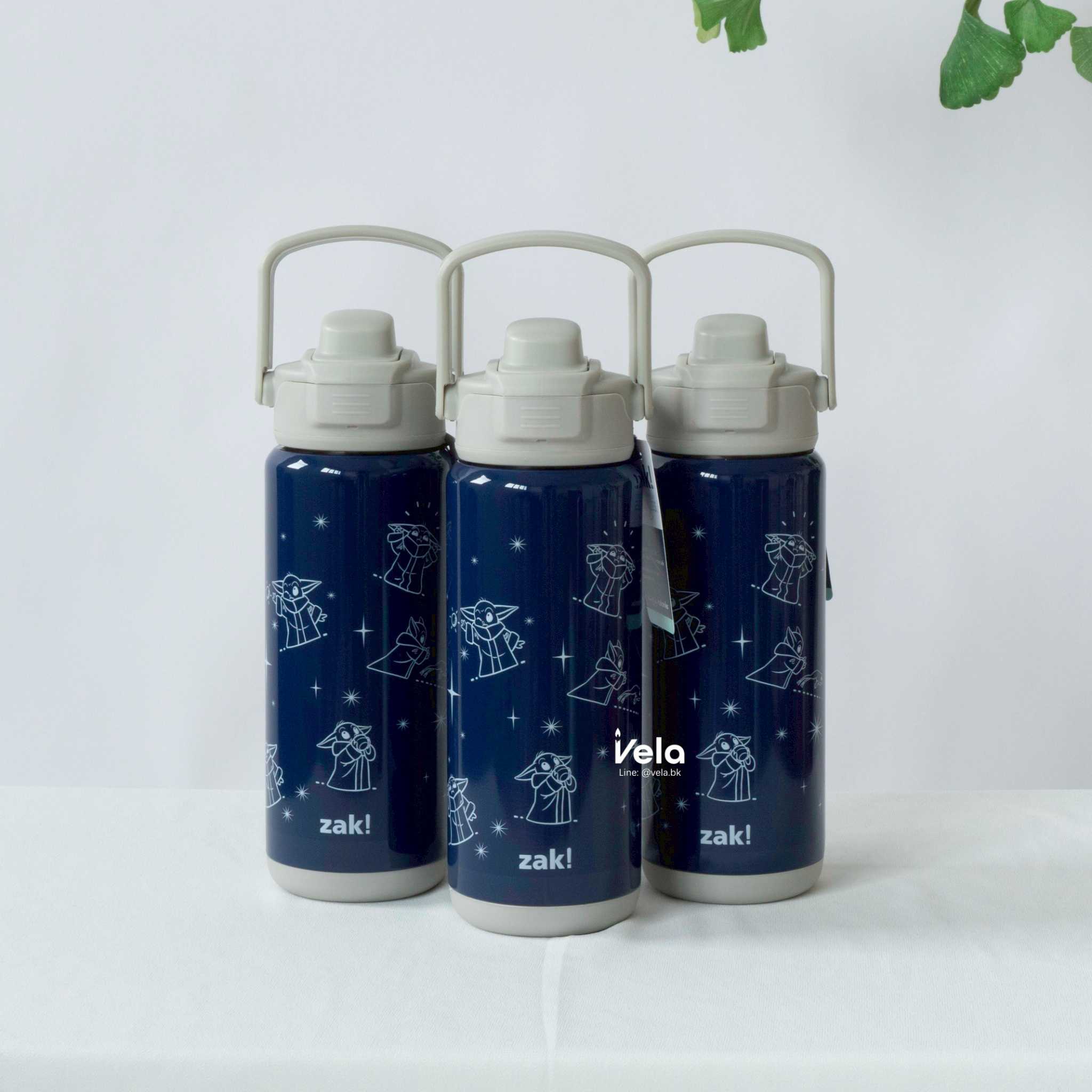 Zak Beacon Insulated Bottle 20 oz (The Child)