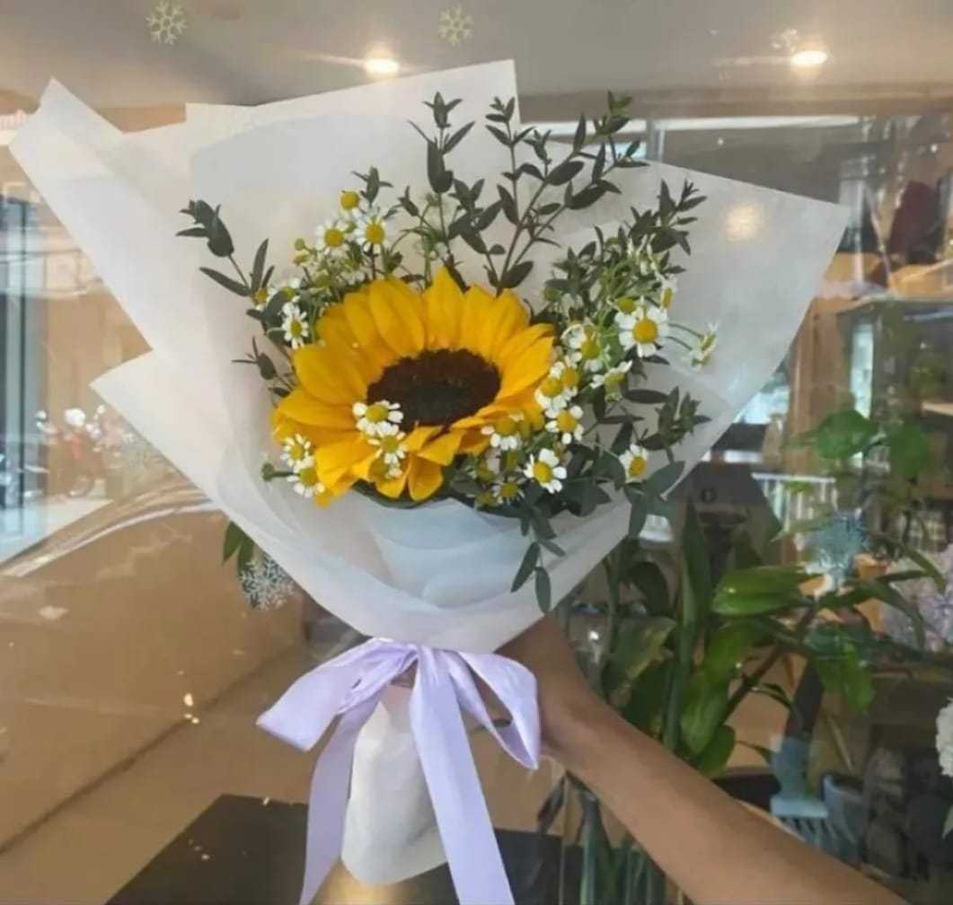 Sunflower 🌻