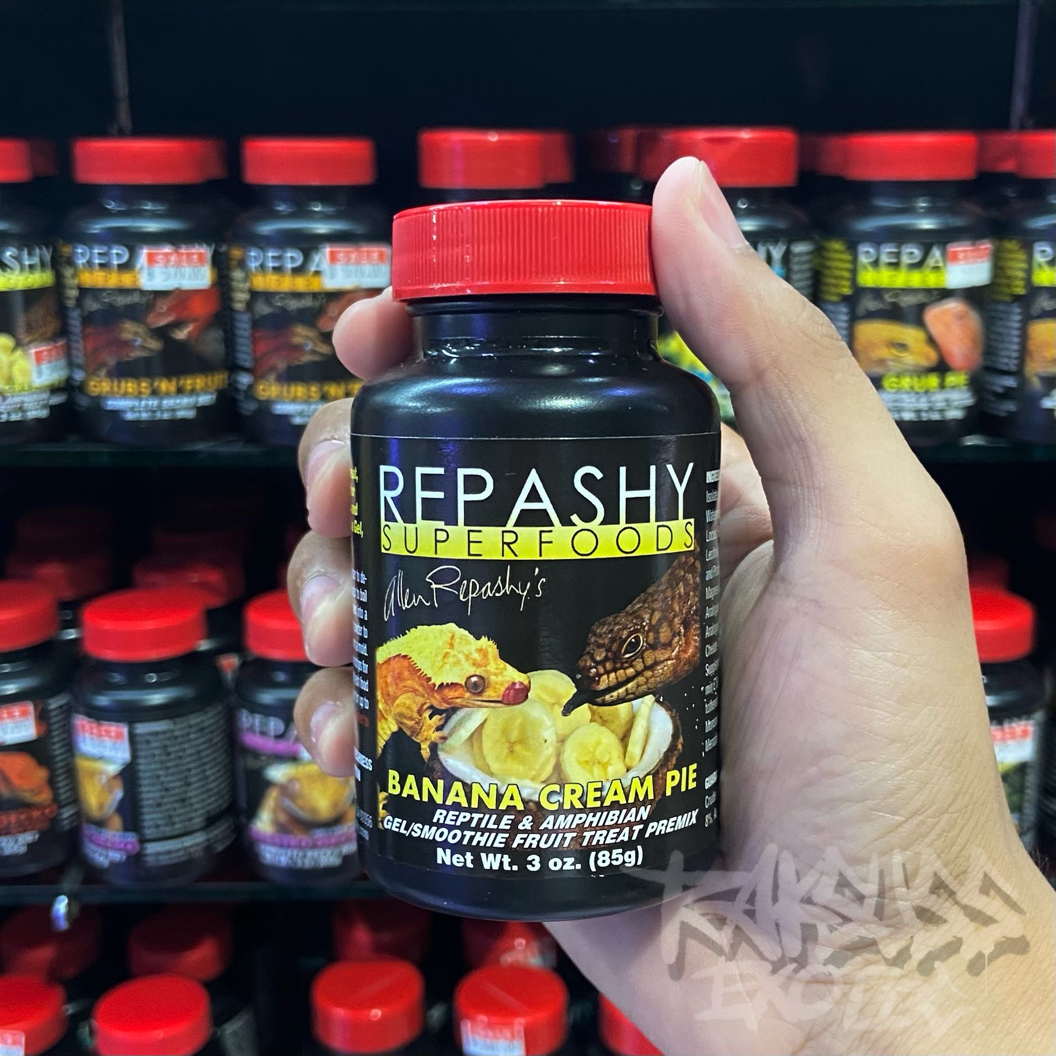 Repashy Banana Cream Pie Reptile & Amphibian Gel/Smoothie Fruit Treat Premix Net Wt. 3oz. (85g)